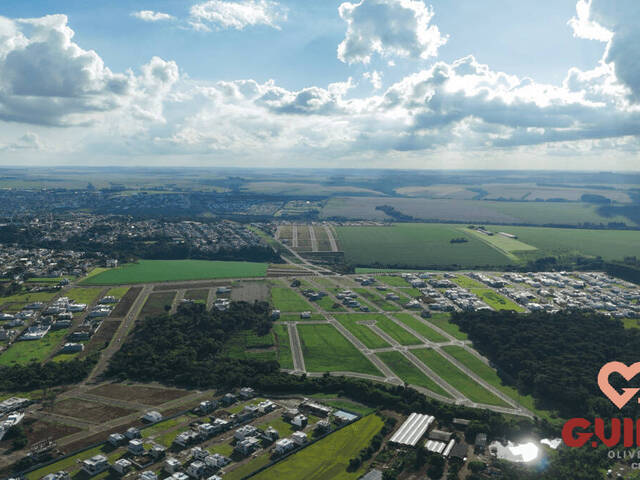 #360 - Terreno para Venda em Cascavel - PR - 2