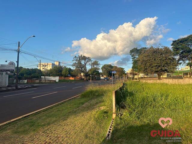 Terreno para Venda em Cascavel - 4